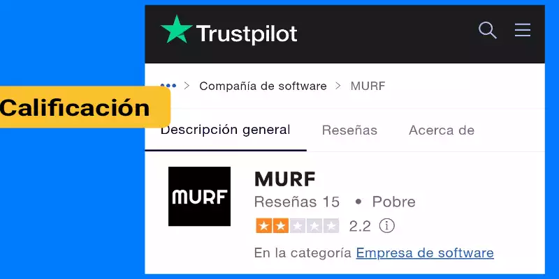 Calificación de usuarios de murf ai